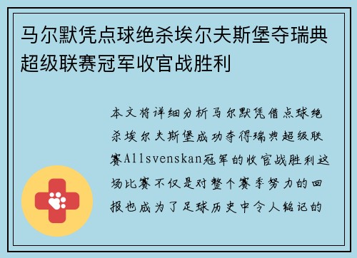 马尔默凭点球绝杀埃尔夫斯堡夺瑞典超级联赛冠军收官战胜利